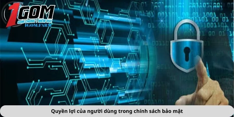 Quyền lợi của người dùng trong chính sách bảo mật