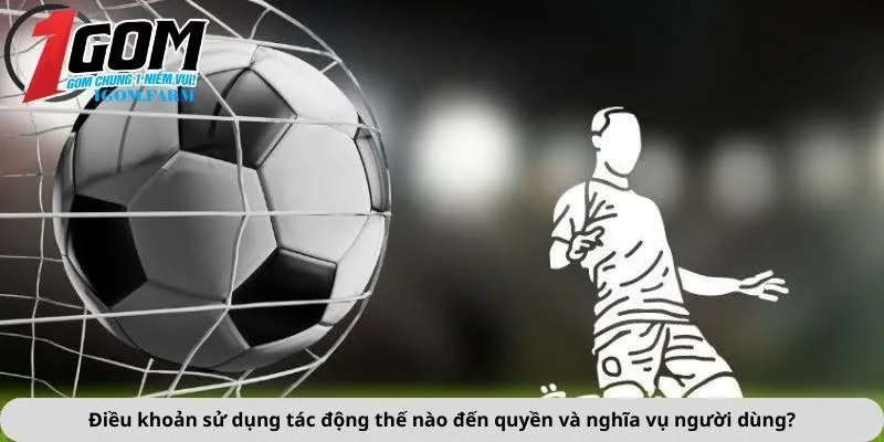 Điều khoản sử dụng tác động thế nào đến quyền và nghĩa vụ người dùng?