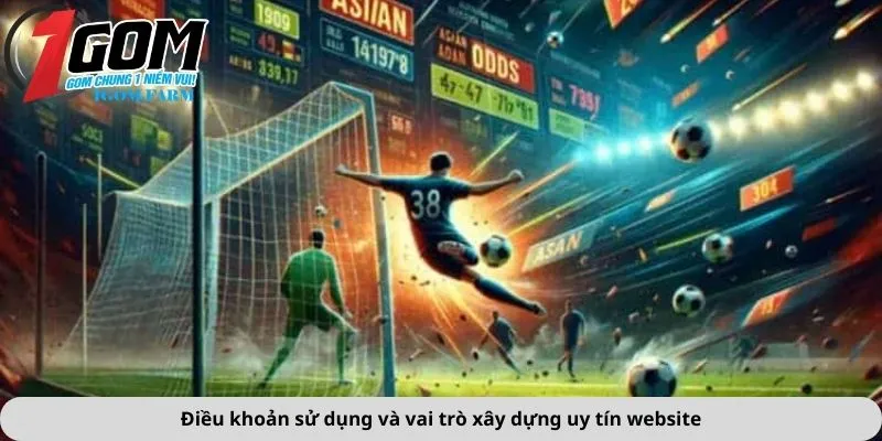 Điều khoản sử dụng và vai trò xây dựng uy tín website