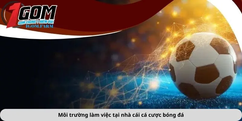 Môi trường làm việc tại nhà cái cá cược bóng đá
